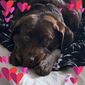 Meet your Posher, Janine